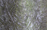 Cocking fibreglass roof work